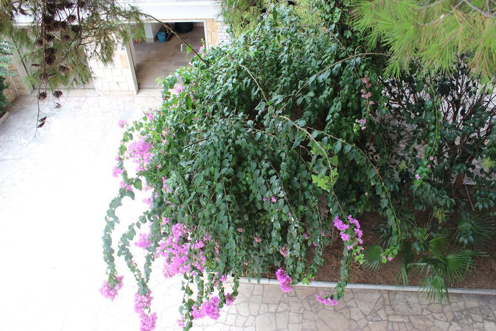 Villa Wanda - Residenza Di Charme Trani Εξωτερικό φωτογραφία